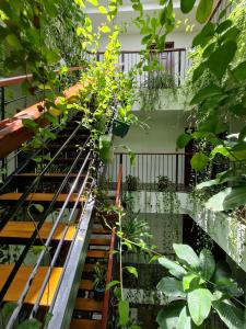 Une bande de plantes sur un escalier dans un bâtiment dans l'établissement Nicobar Con Dao Hotel, à Côn Son