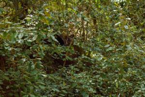 Paesaggio naturale nelle vicinanze del campeggio
