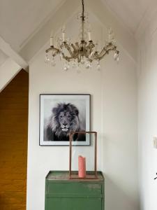 Fotografie z fotogalerie ubytování Huisje Harderwijk v destinaci Harderwijk