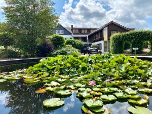 un étang rempli de nombreux nénuphars verts dans l'établissement Hotel Restaurant Ruimzicht, à Zeddam