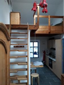 a loft bed in a room with a kitchen at Kleines Häuschen in Ober-Ramstadt