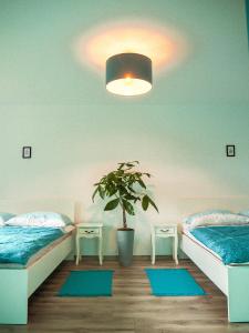 um quarto com duas camas e um vaso de plantas em Domek w Górach na wyłączność em Złatna