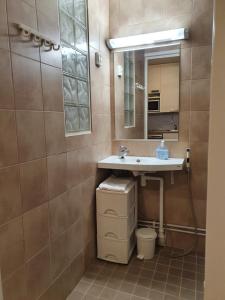 a bathroom with a sink and a mirror at Jääskän Loma Apartment Hotel Härmä in Härmä