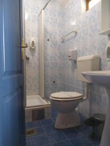 La salle de bains est pourvue de toilettes, d'un lavabo et d'une douche. dans l'établissement Garni Hotel Lupus, à Kanjiža