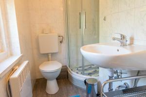 a bathroom with a sink and a toilet and a shower at Ferienhaus Boddenkieker in Freest +10 photos