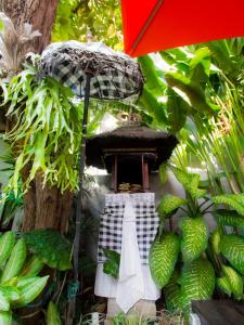 Zahrada ubytování The Pavilion Hotel Kuta