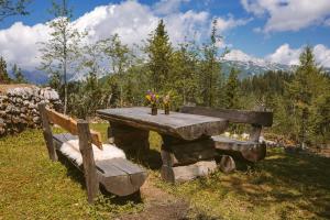 Zahrada ubytování Chalet Orlica Velika Planina