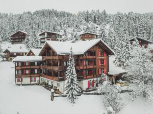 冬天的Hotel Sonnenhalde, Arosa