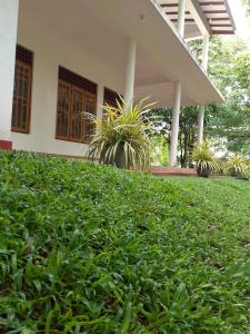 a house with green plants in front of it at Yonara Green Rest in Habarana