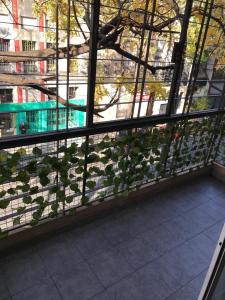 - une vue sur un bâtiment depuis une fenêtre ornée de plantes dans l'établissement Departamento para 4 a 1 cuadra del Hospital Italiano - Apartment for 4, 1 block from Italian Hospital, à Buenos Aires