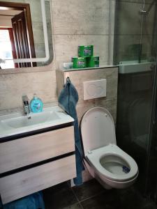 Koupelna v ubytování Dráchovský apartmán a vejminek