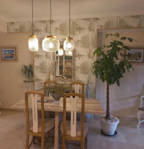 une salle à manger avec une table et une plante en pot dans l'établissement Casa MUNDOVALENCIA, à Valence