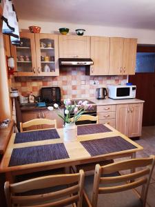 Kuchyň nebo kuchyňský kout v ubytování Dráchovský apartmán a vejminek