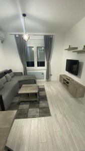 ein Wohnzimmer mit einem Sofa und einem TV in der Unterkunft Apartman Petra in Jagodina