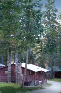 a house in the middle of a forest with trees at The Cabins at Cloudcroft in Cloudcroft