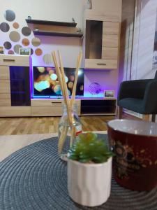 Televisyen dan/atau pusat hiburan di Apartman ESPRESSO sa parkingom