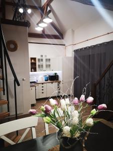 Kuchyň nebo kuchyňský kout v ubytování Dráchovský apartmán a vejminek