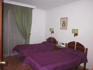 Postelja oz. postelje v sobi nastanitve Hotel Elena María