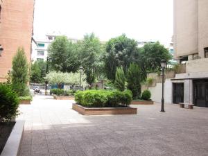 un cortile con cespugli e alberi in una città di Hotel Elena María a Granada