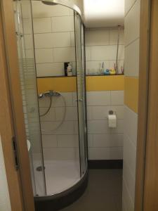 eine Dusche mit Glastür im Bad in der Unterkunft Wohnung in der zentrale Lage bis zu 5 Personen in Leipzig