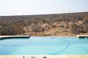Swimmingpoolen hos eller tæt på Tholo Manzi Private Game Farm