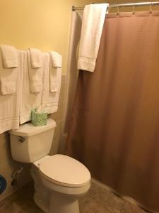 a bathroom with a toilet and a shower with towels at The Sunview Motel in Tannersville