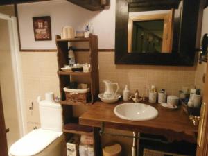 Un baño con lavabo, inodoro y espejo. en Villa de Castro, en Villar de los Barrios 19 fotos más