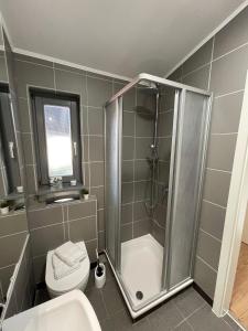 a bathroom with a shower and a toilet and a sink at Ferienwohnung Balgheim in Balgheim