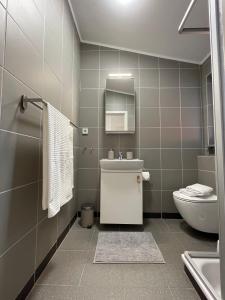 a bathroom with a toilet and a sink at Ferienwohnung Balgheim in Balgheim
