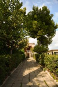 una acera con dos árboles y un edificio en La Casa Di Andrea en Chieti