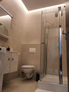Koupelna v ubytování Kaposvár Apartman