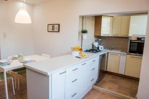 Kuchyňa alebo kuchynka v ubytovaní Apartament Lux-centrum + 10 fotografií