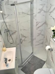 a bathroom with a shower and a sink at Hotel, Apartament Pod Złotym Lwem w samym centrum miasta z DARMOWYM parkingiem VII in Kłodzko