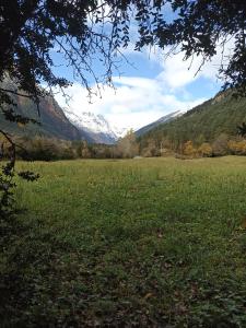 un prato verde con montagne sullo sfondo di Apartamentos Sorripas 1 hab a Bielsa