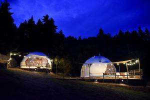 Fotografie z fotogalerie ubytování Mountain tea v destinaci Pávliani