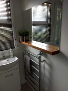 a bathroom with a sink and a mirror at Gladstone gem - Gateway to the Bays North East Tasmania in Gladstone