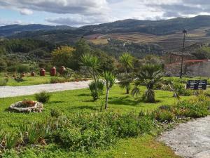 ogród z palmami i kwiatami na wzgórzu w obiekcie Eiras do Dão w mieście Penalva do Castelo