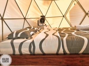 a bed in a tent with a clock on it at Igloo Glamping Bali in Kintamani