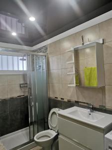W łazience znajduje się toaleta, prysznic i umywalka. w obiekcie Apartment Chaparral w mieście Costa Del Silencio