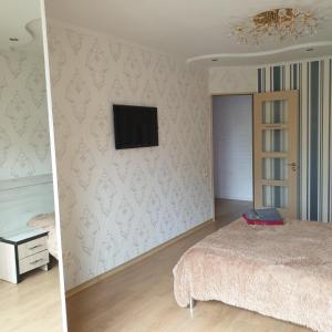 ein Schlafzimmer mit einem Bett und einem TV an der Wand in der Unterkunft Apartament cu 2 odai in chirie or.Soroca in Soroca
