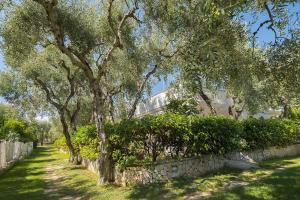 A garden outside Ferienwohnung ulivo mit Pool und Privatstrand