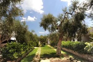 A garden outside Ferienwohnung ulivo mit Pool und Privatstrand