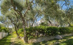 A garden outside Ferienwohnung ulivo mit Pool und Privatstrand