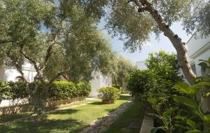 A garden outside Ferienwohnung ulivo mit Pool und Privatstrand