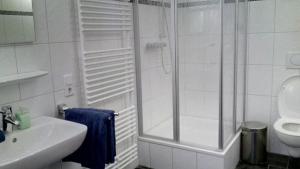 W łazience znajduje się prysznic, umywalka i toaleta. w obiekcie Ferienwohnung Zentrum Goch w mieście Goch