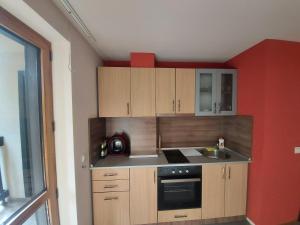 パンポロボにある1 Bedroom cozy flatの小さなキッチン(木製キャビネット、シンク付) +4枚の写真