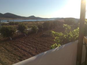 a view of a garden from the balcony of a house at San Giorgio in Agios Georgios