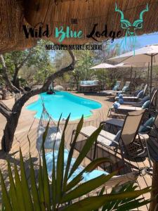 ein Pool mit Liegestühlen und ein Schild, das wilde blaue Logik liest in der Unterkunft The Wild Blue Lodge SAFARI & SPA in Hoedspruit