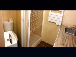 a small bathroom with a shower and a toilet at Adorable Studette Nice Cessole in Nice