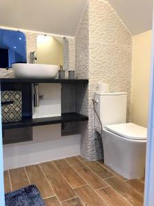 uma casa de banho com um WC branco e um lavatório. em Singes de la sagesse em Saint-Denis